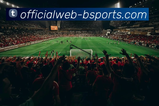 b体育平台生态图